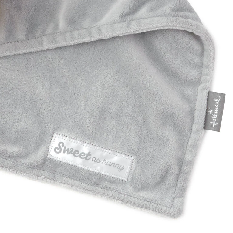 Hallmark Disney Baby Winnie The Pooh Plush And Lovey Blanket 5 Hallmark Disney Baby Winnie The Pooh Plush And Lovey Blanket - Image 5