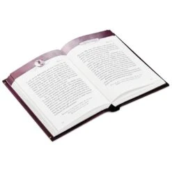Hallmark Jesus Always: Embracing Joy In His Presence Book -Hallmark Jesus Always Embracing Joy in His Presence Book root 1BOK1064 BOK1064 1470 3.jpg Source Image